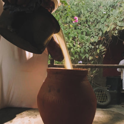 A2 Desi Cow Bilona Ghee